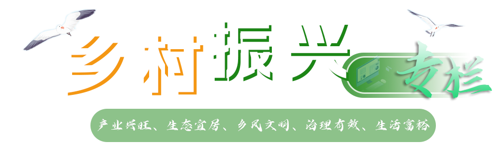 乡村振兴专栏