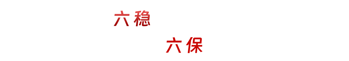 扎实做好“六稳”工作 全面落实“六保”任务